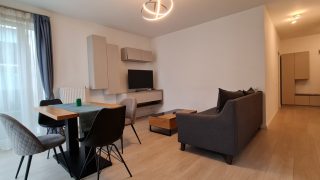 Apartment for rent in the central area of Cluj-Napoca, at 5 minutes by foot to the University of Medicine and Pharmacy, consisting of living-room, kitchen, bedroom. Video