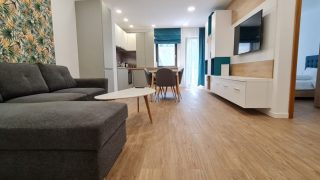PLOPILOR PREMIUM RESIDENCE: splendid apartment for rent  in Cluj-Napoca, at three minutes from USAMV (University of Agricultural Sciences and Veterinary Medicine) and 20 minutes from UMF (University of Medicine and Pharmacy), with living-room, bedroom and a balcony Video