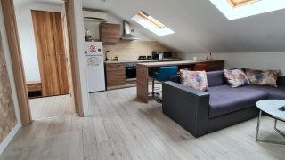 For rent an apartment with 2 bedrooms, kitchen with living-room and bathroom in the central area of ​​Cluj-Napoca, about 20 minutes walk from the University of Medicine and Pharmacy. Also valid for Erasmus students. Video