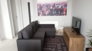 gallery-0