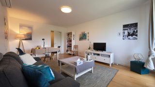 For rent a renovated apartment in the semi-central area of Cluj-Napoca, 10 minutes walk from the University of Medicine and Pharmacy, Republicii street, with living-room and bedroom Video