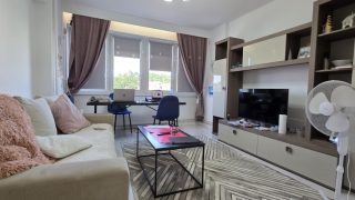 For rent a freshly renivated apartment located in Cluj-Napoca, in the Central area, a 15-minute walk from the University of Medicine and Pharmacy, consisting of a living room, bedroom, bathroom, kitchen, and two balconies Video