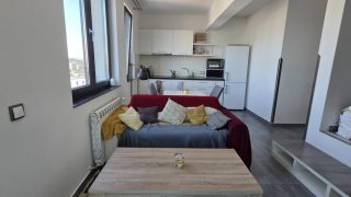 Bright and modern apartment for rent in Cluj-Napoca, near University of Agricultural Sciences and Veterinary Medicine, consisting of a living-room with kitchen, bedroom and an extra grand balcony Video