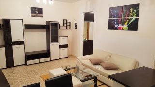gallery-0