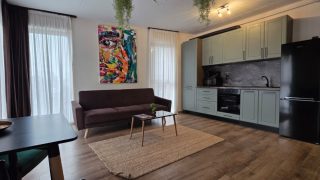 A louer un bel appartement dans le centre de Cluj-Napoca, à 25 minutes à pied de l’Université de Médecine et de Pharmacie, composé d’un salon, d’une chambre et d’une salle de bain Video