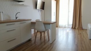 Luxury studio for rent in Cluj, near the University of Medecine and Pharmacy and the University of Veterinary Medicine, Hașdeu street Video