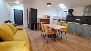 For rent a cozy new apartment  in Cluj-Napoca, 5 minutes walk from the University of Medicine and Pharmacy, Hașdeu area, with living-room and bedroom. Video
