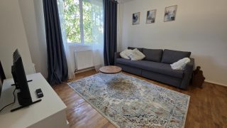 Apartment for Rent in Cluj-Napoca, right in the center of town, spatious and in a quiet area, consisting of bedroom, living room, separate kitchen and bathroom. Video