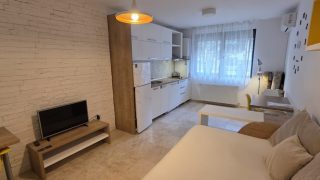 REMETEA RESIDENCE: studio for rent at 7 minutes by feet to the University of Medicine and Pharmacy and the University of Agricultural Sciences and Veterinary Medicine Video