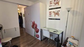 Apartment for rent in Cluj-Napoca, a 10-minute walk from the University of Agronomic and Veterinary Sciences, comprising one bedroom, a kitchen, a bathroom and a balcony. Video