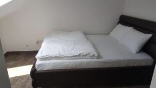 gallery-2