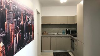 gallery-2