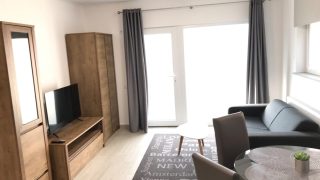 gallery-0
