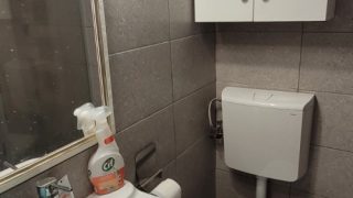 gallery-2