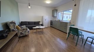 Appartement confortable et moderne à louer à Cluj-Napoca, à 7 minutes à pied de la Faculté de Médecine et de Pharmacie. Il comprend un séjour, une chambre, une salle de bains et un balcon Video